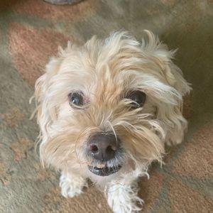 Meet your Posher, Ava